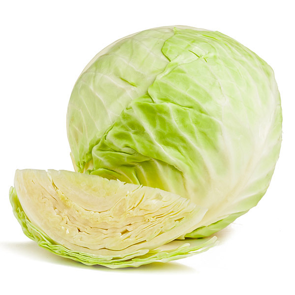 En elegant Vitkål, Närodlad vitkål med naturligt utseende och känsla. Detaljerad utformning med realistiskt bladverk. 