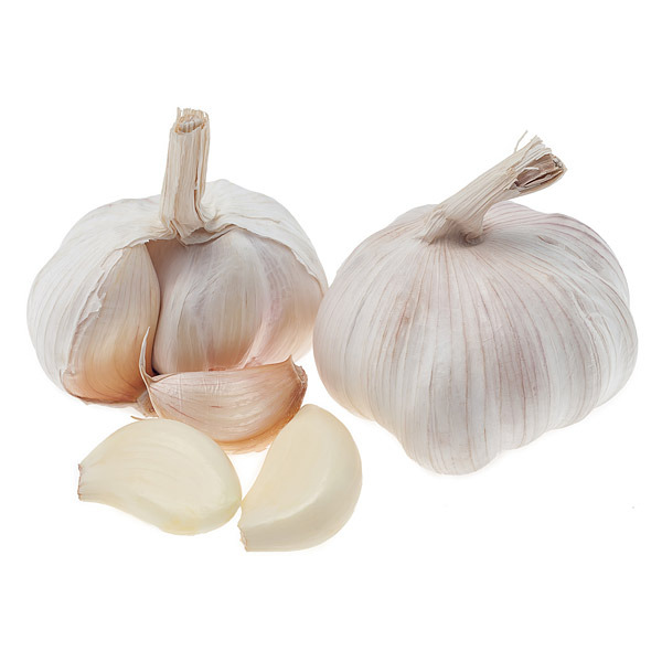 En elegant Vitlök, Närodlad vitlök med naturligt utseende och känsla. Detaljerad utformning med realistiskt bladverk. 